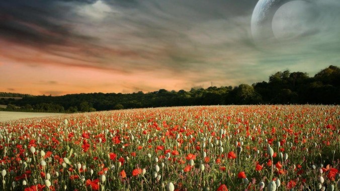 为什么美军“好像”不怕泄密？